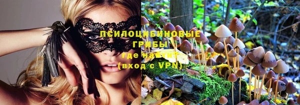 mix Кодинск