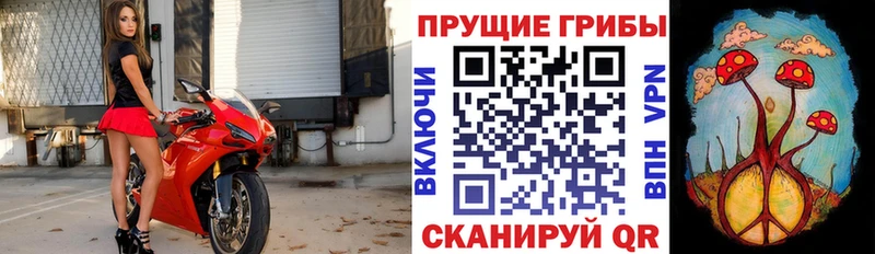 Галлюциногенные грибы Magic Shrooms  Купить  Балтийск 